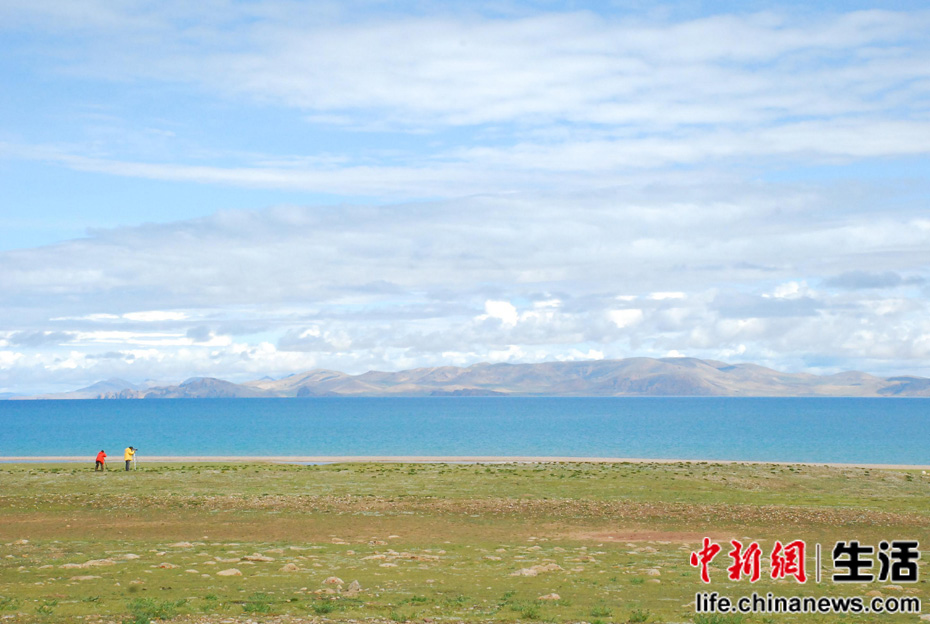 �������أ���ľ������Ӱ