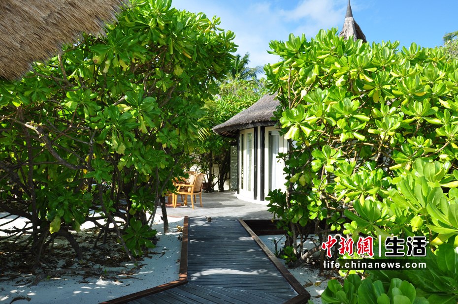 ӡ�����ϵļ�������——��������