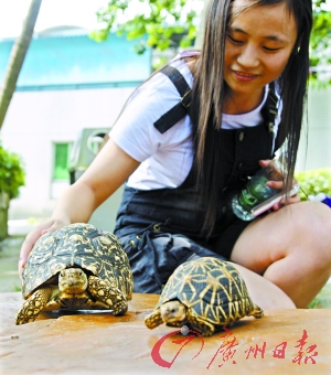 不出城也乐翻天广州十一赏月游园指南组图5