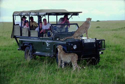 �����ԡ������Ǹ��ܡ�Σ���ķ���