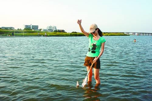 ���������з��ͼ��