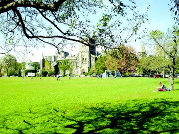 加拿大多伦多大学校园风光.(图片来源:齐鲁晚报)