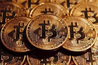 比特币是又一朵郁金香?已成威胁金融安全的毒