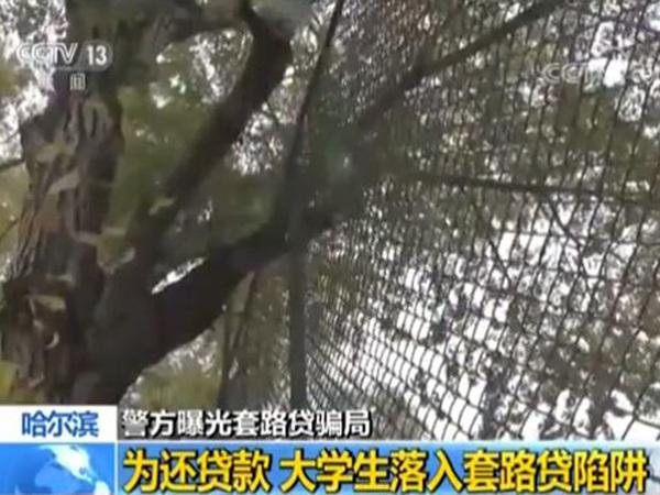 起底套路贷骗局 借贷者逾期翻倍还钱-中国新闻