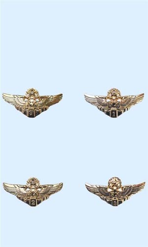 ��ž�������Ա��һ��������еȼ�֤�£�ͼ��