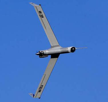 ���ʳƷ���һ����������յ�����ɨ��ӥ�����˻�