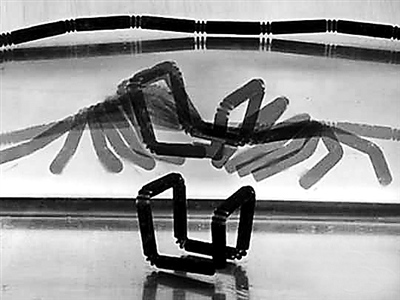 4D������������Ǳ����̹�˿��Զ����������Լ�