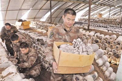 ��װ����פ��ĳ�ſ�չũ��ҵ�����ٱ�����ƽ��