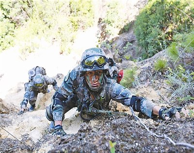 ��ս���ѵ���ٱ��ɶ����ֶ������乻������ͼ��