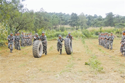 ����ĳԤ�����Źٱ���֯˫��Э������̥������ͼ��