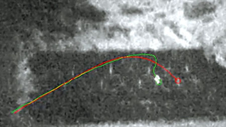 ���������������ӵ����ƻ���ͻ������Ҳ�ܼ�Ԧ