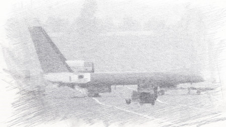 ��ý���й������������˻�Ӧ��������ȫ��ӥ��