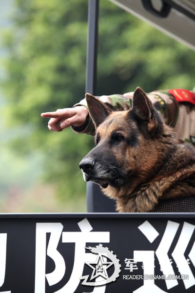 深圳特警队员苦练战术秀优美甩枪姿势