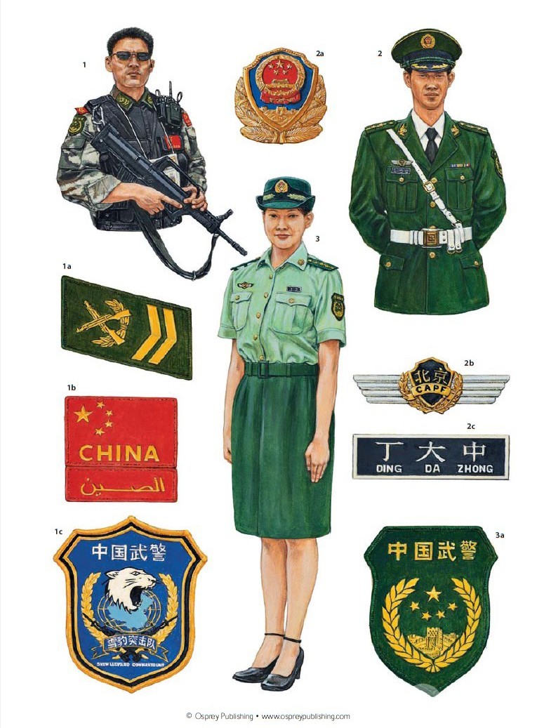 陆军的服装和标志图片图片