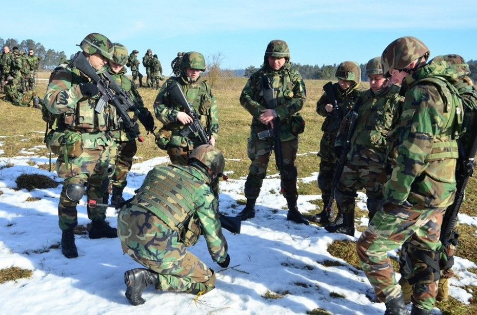 摩尔多瓦士兵成群结队赴德国接受美军训练