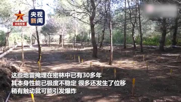 “刀剑上的舞蹈”！中国蓝盔连破单日扫雷纪录