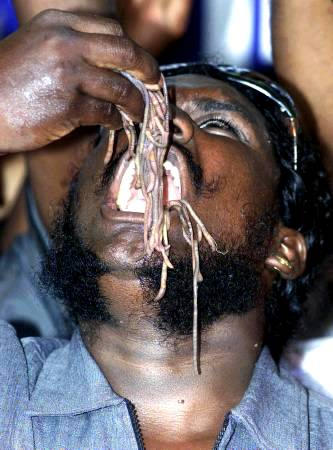 图文:印一男子20秒吞2百条虫 跻身吉尼斯记录