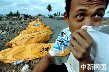 印尼海啸死亡数大幅上升 各国遇难者总数超22万