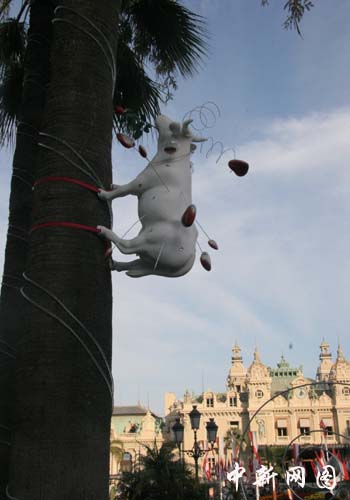 组图蒙特卡洛牛气冲天