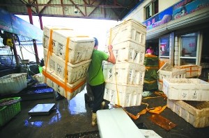 ��������Ⱦ�Ծ���ˮ���г�Ӱ������