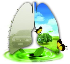 pm2.5将成环保新标准 抑制pm2.5重在大气减排