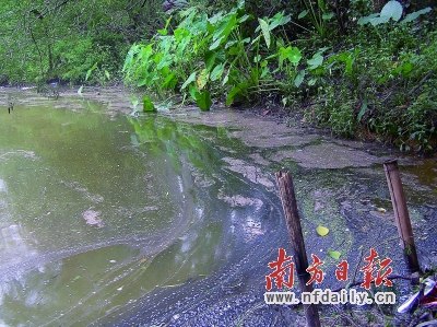 Ұ����˾͵�ŷ���������´���䡰�ೡ��