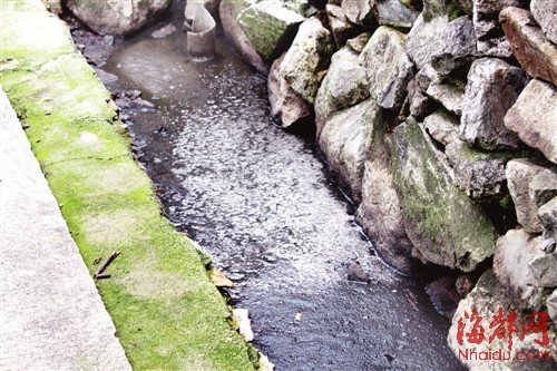 ���������ϰ���ֳ����������Ⱦ���������ˮԴ