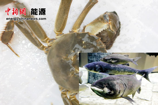 450�����������������й����õ�����ʧ��ǧ��