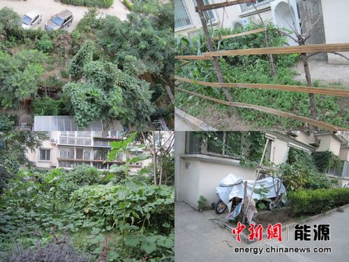 С���̵���ռεȻ�ɷ���ִ��Ȩ��ҵ�ѹ���