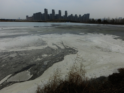 ���ϻ����������������ˮԴ������Ⱦ��������