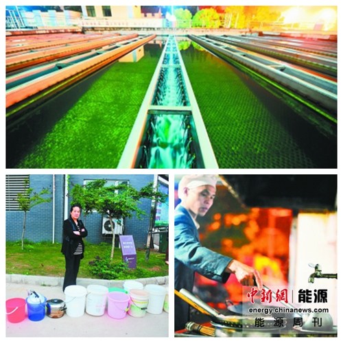 ��Դ�ܿ�:ʷ�����ϻ�����������ʯ����׬3.8�ڣ�3��