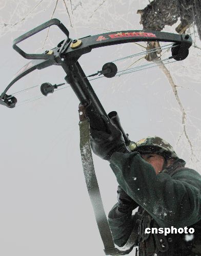 武警弓弩手对"恐怖分子"实施无声毙敌.