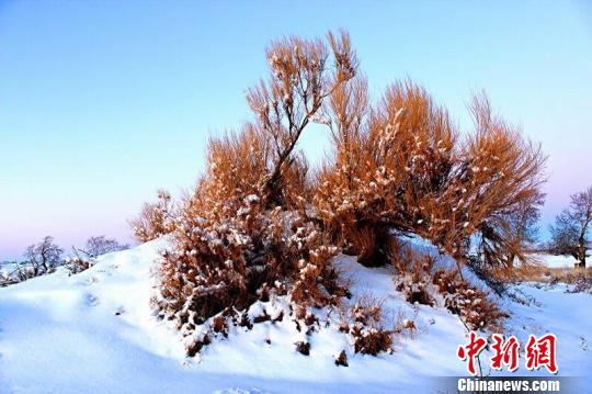 吉林省中南部地区普降大到暴雪1114