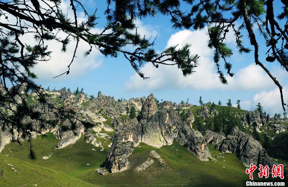 新疆阿勒泰高山夏牧场云雾缭绕宛如人间仙境