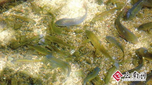 ���ϴ����������15����ط�����