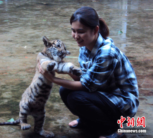 ǣ�������������á�����ȡ����̩ƽ����̩����