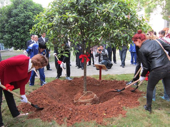 中法两国师生同植"友谊树" 愿感情万年长青-中新网