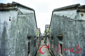 �����»��������壺��С�����á���ɹŴ�