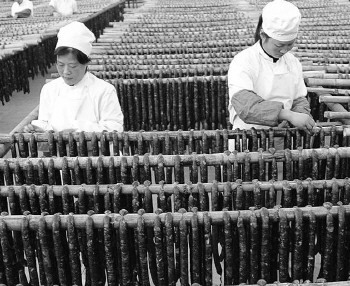 �������ϳ�����������ζ���ߵ�ǰ��������2��