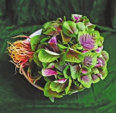 ĸ�׵ġ��Ȳ��硱