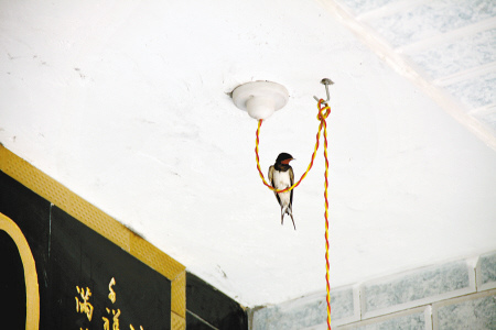 ̽�����������Ӵ塱��ǧ����۴������������ͼ��