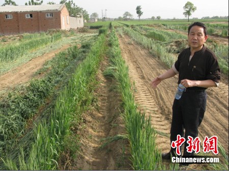 �ӱ�����һũ�����ﱻ����ɲ��ơ���ᡱ��ͼ��