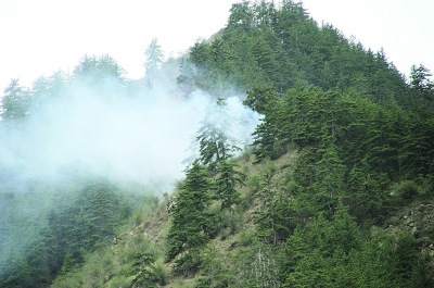 ����ʡ����ɭ�ֻ�������������60���꣨ͼ��