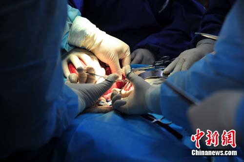 ר��ΪҰ���������è�����š���������������ͼ��