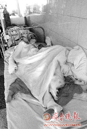 ɽ����ɽһ���������8�������������������80%