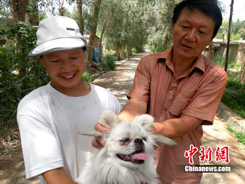 �½�һС������ֻ����ϲ�����������ϣ�ͼ��