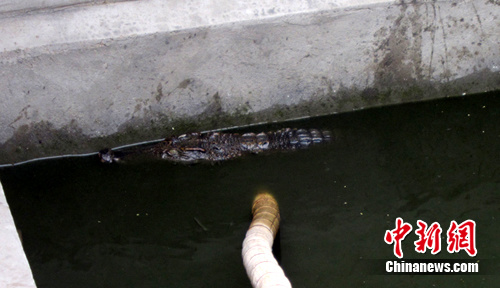 ���Ƹ�һ�����ڹ�����֤Ȧ����������ͼ��