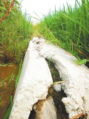 ����һ����400��Ԫ�½�ˮ��������ⶹ������ͼ��