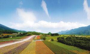 ������ڡ�ƴ�Ρ�ʡǮ��ʱ��AA�Ʒ�̯����