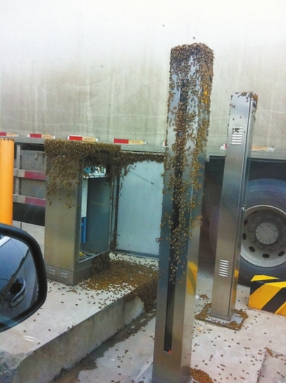 ��Ⱥ�۷䡰�����ϸ��ٳ����ܼ��־�֢��������ͼ��